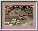 frame resized, plus a pasted picture